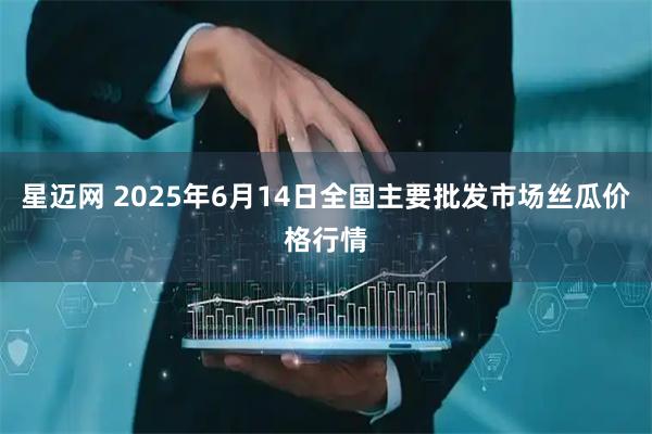 星迈网 2025年6月14日全国主要批发市场丝瓜价格行情