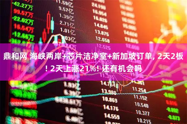 鼎和网 海峡两岸+芯片洁净室+新加坡订单, 2天2板! 2天上涨21%! 还有机会吗