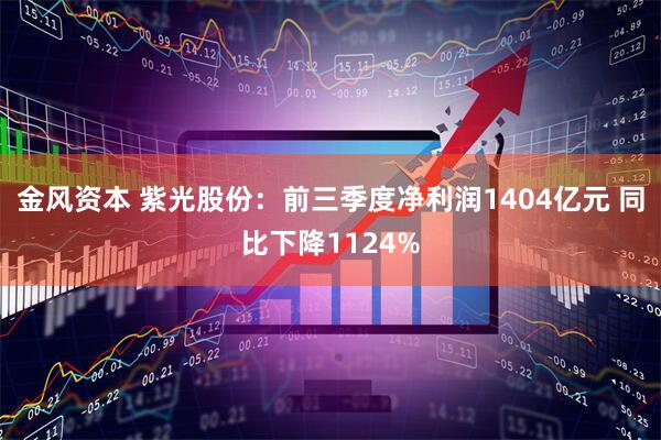 金风资本 紫光股份：前三季度净利润1404亿元 同比下降1124%